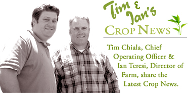 Tim_ian