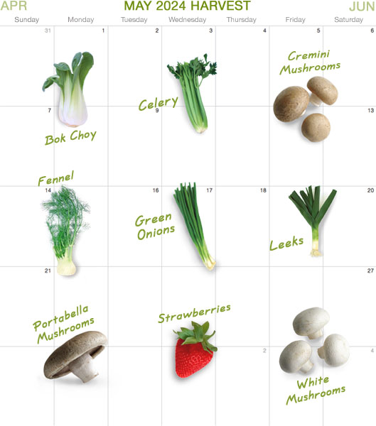 Calendar_may24
