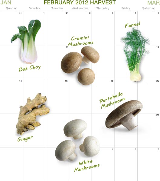 Calendar_feb12