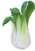 Bok_choy