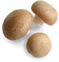 Mushroom_cremini