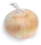 Onion_vidalia