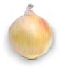 Onion_yellow