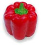 Pepper_bell_red