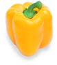 Pepper_bell_yellow