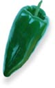 Pepper_poblano