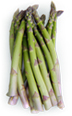 Asparagus_copy