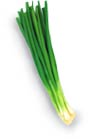 Green_onion