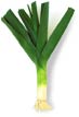 Leek