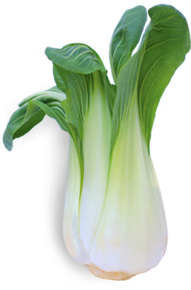 Bok_choy