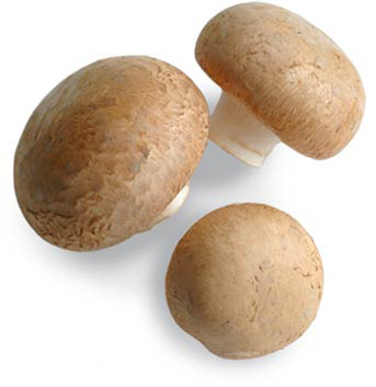 Mushroom_cremini