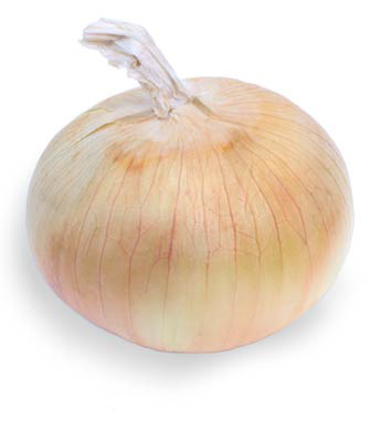 Onion_vidalia