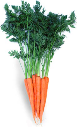 Carrots