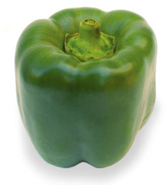 Pepper_bell_green