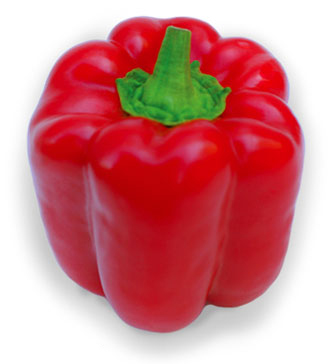 Pepper_bell_red