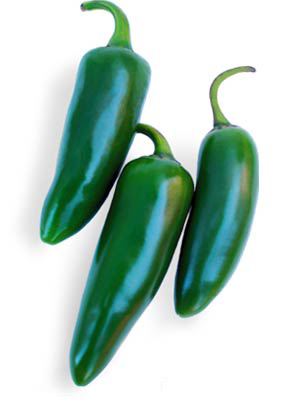Pepper_jalapeno_green