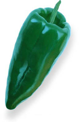 Pepper_poblano