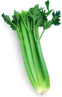 Celery