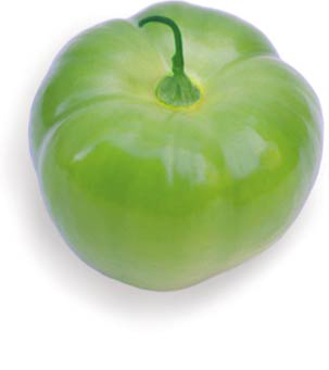 Tomatillo