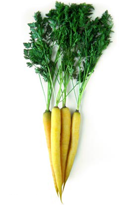 Yellow_carrots-2