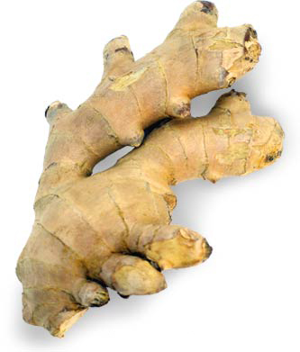 Ginger