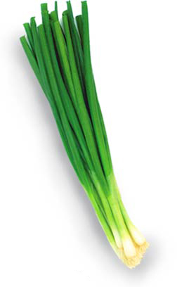 Onion_green