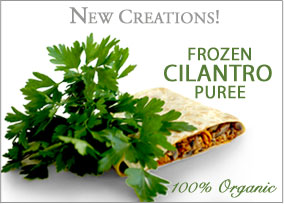 New_creations_cilantro