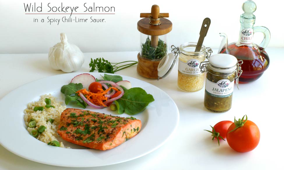 Salmon