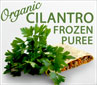 Cilantro_thumb